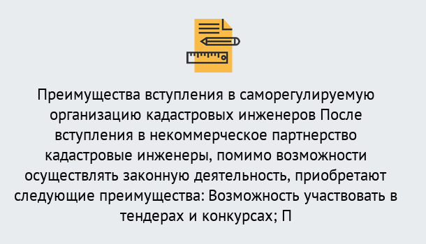 Почему нужно обратиться к нам? Сунжа Что дает допуск СРО кадастровых инженеров?