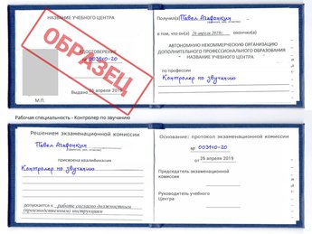 Обучение Контролер по звучанию