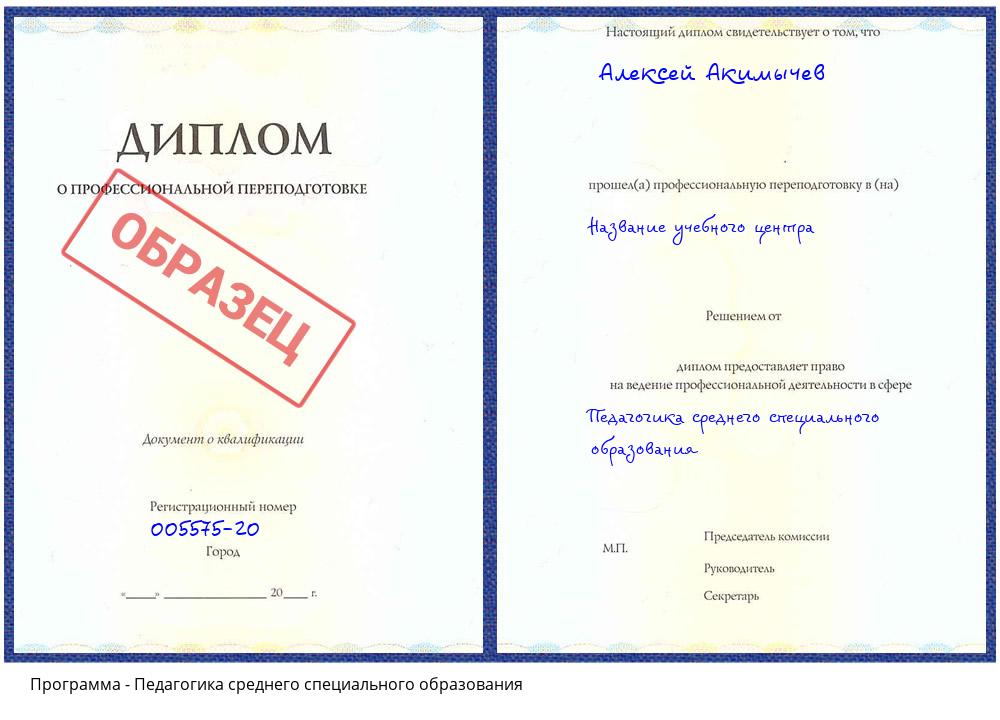 Педагогика среднего специального образования Сунжа