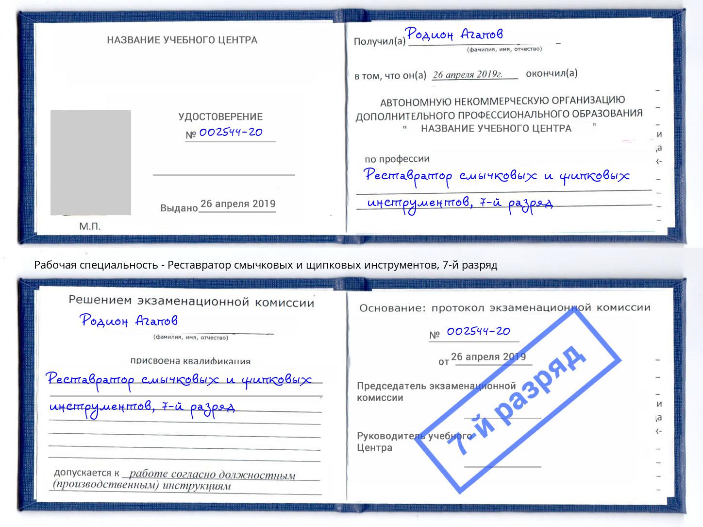 корочка 7-й разряд Реставратор смычковых и щипковых инструментов Сунжа