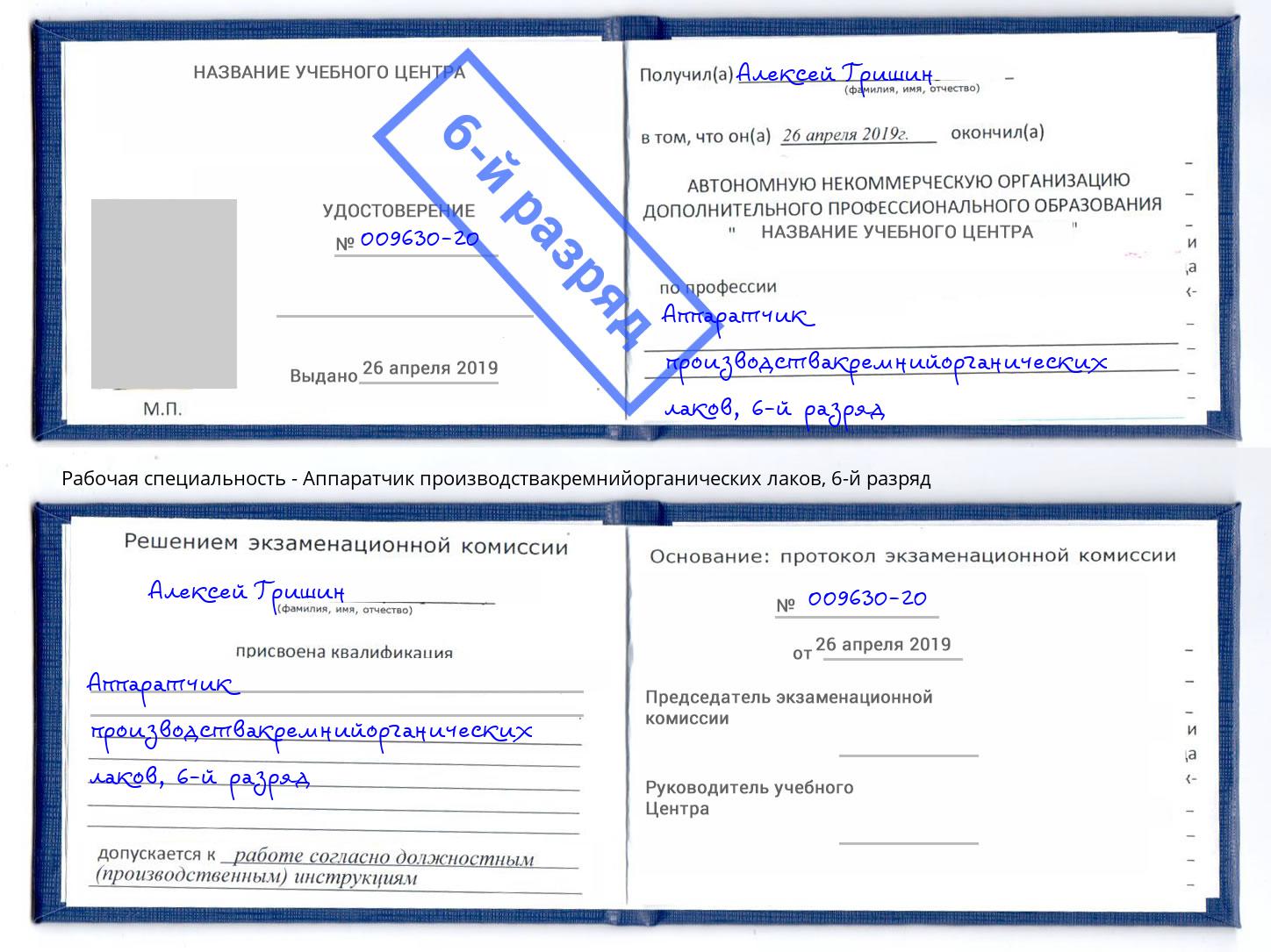 корочка 6-й разряд Аппаратчик производствакремнийорганических лаков Сунжа